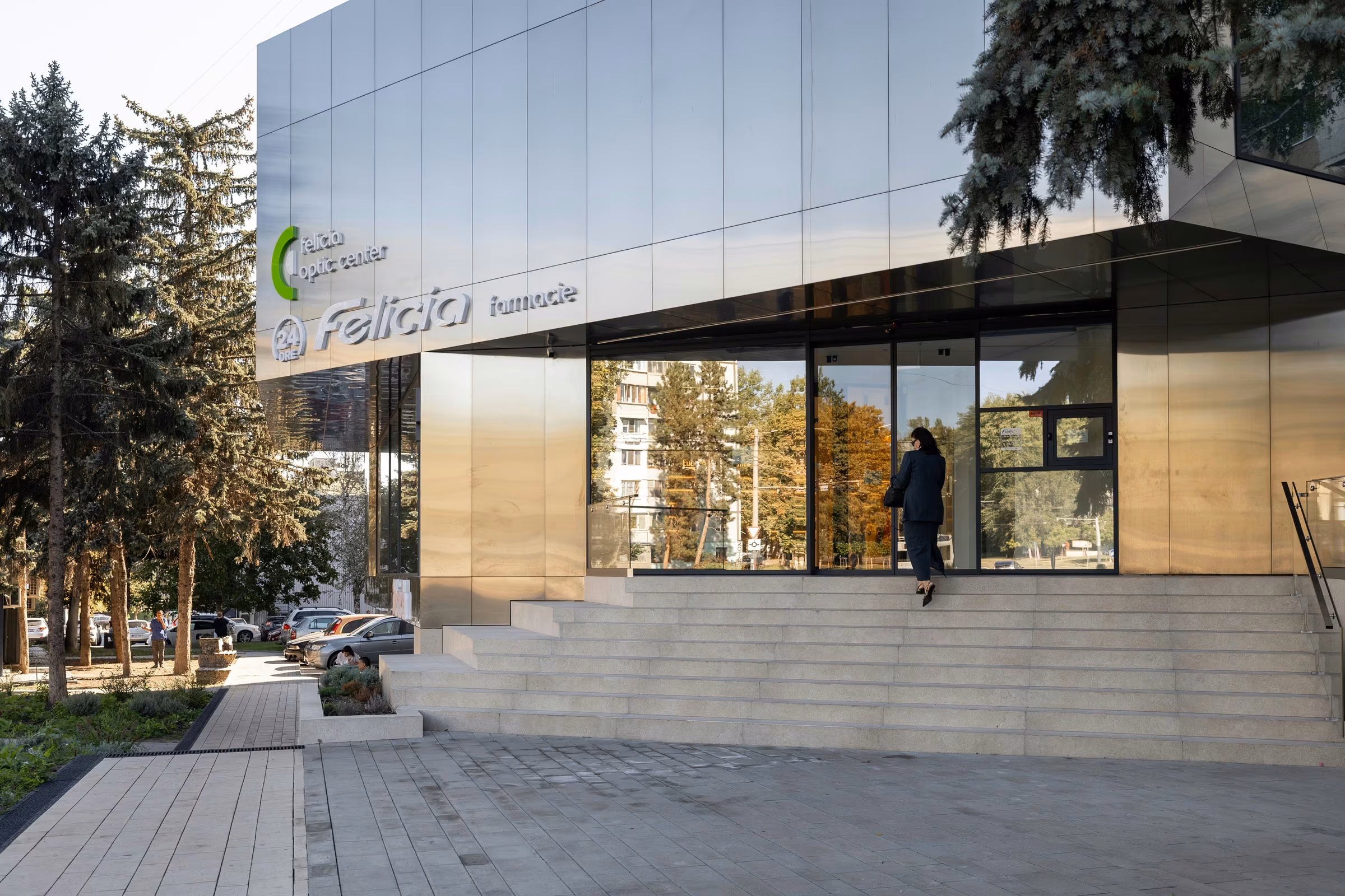Glazed surfaces and metal frames of the entrance system.